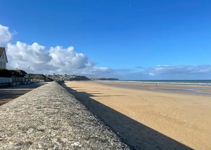 Horizon By Melrose *